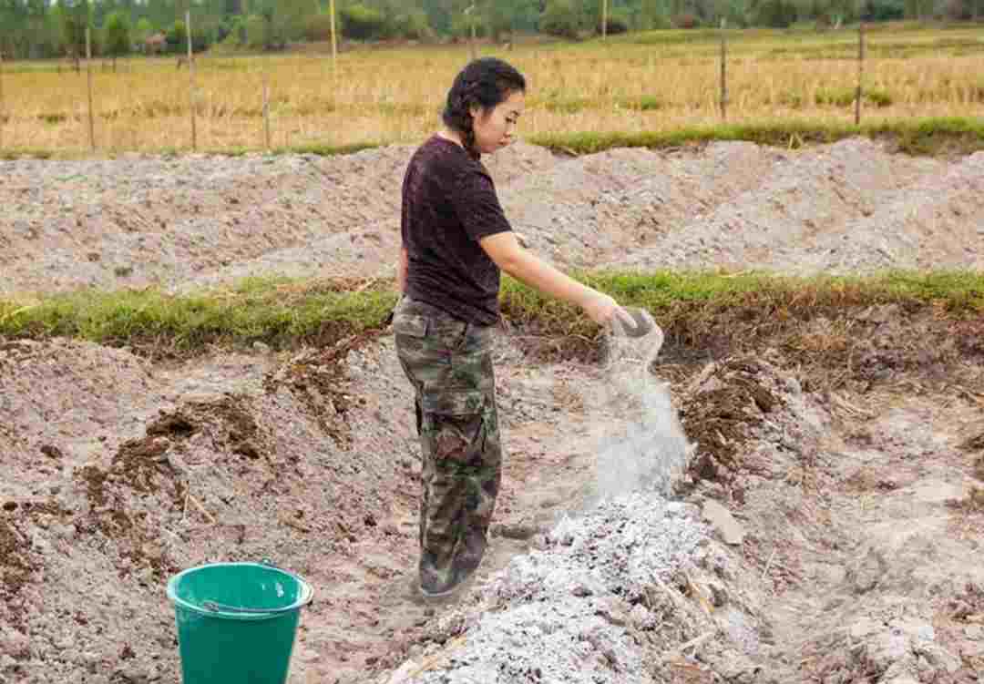 Phân loại vôi thường gặp