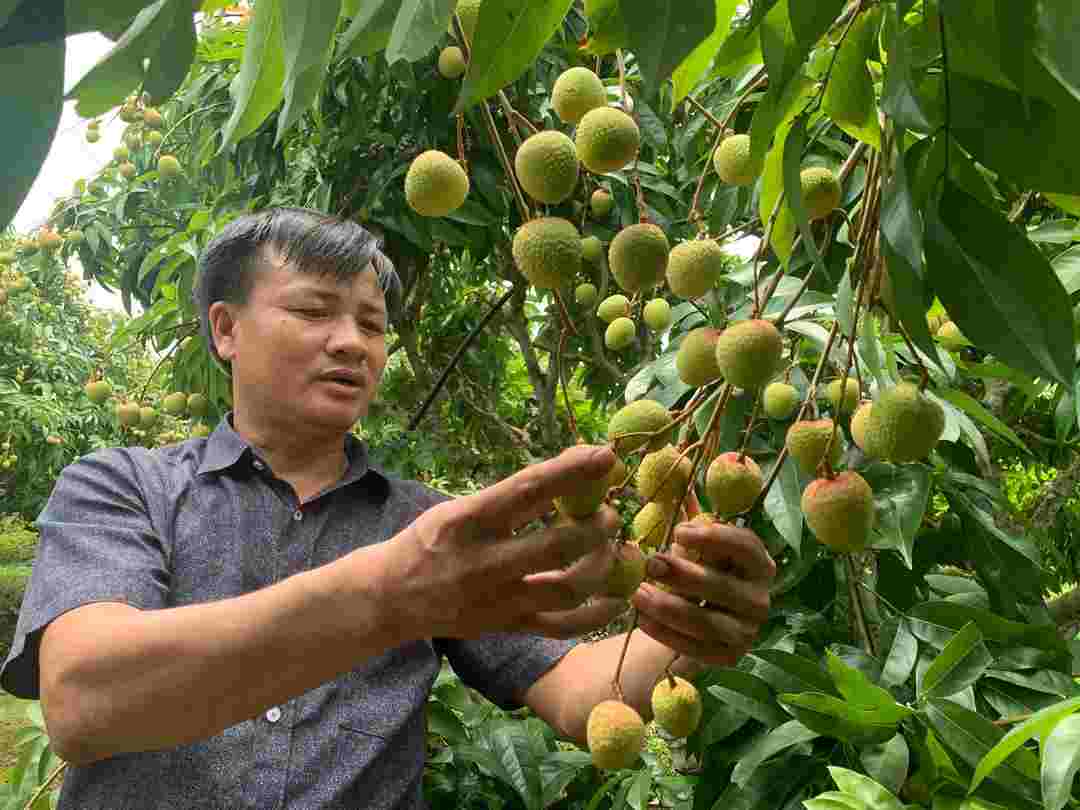 Phải tìm được cơ sở uy tín mới có thể đạt được hiệu quả