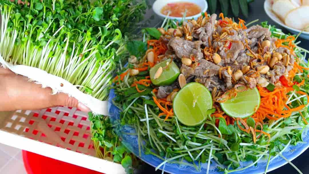 Món salad thịt gà và mầm đậu Hà Lan