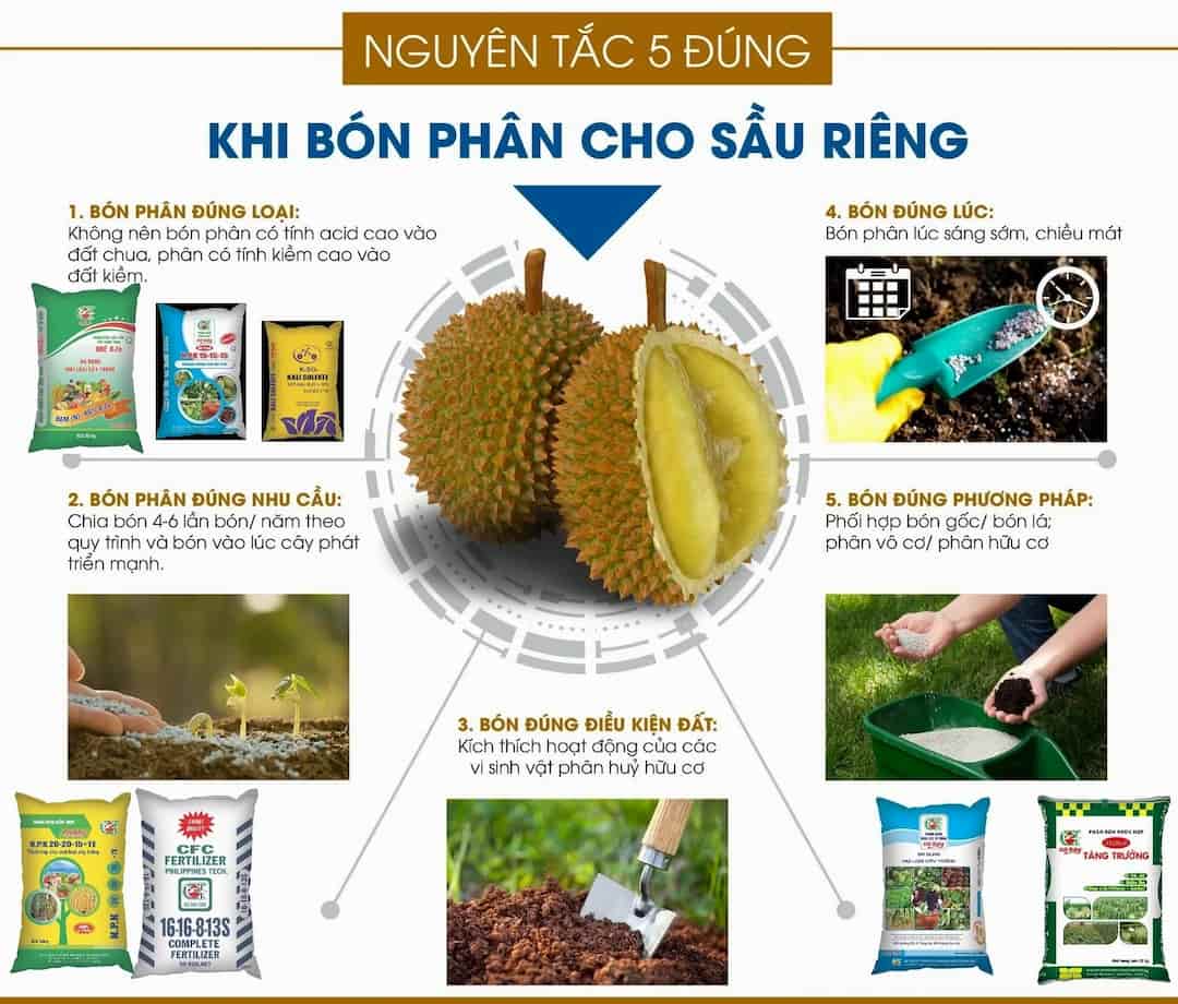 Phân lân hữu cơ vi sinh KOMIX (dùng cho cây ăn trái) bón lót cho sầu riêng