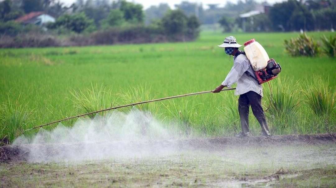 Phương pháp diệt trừ nguồn sâu bệnh cho cây trồng