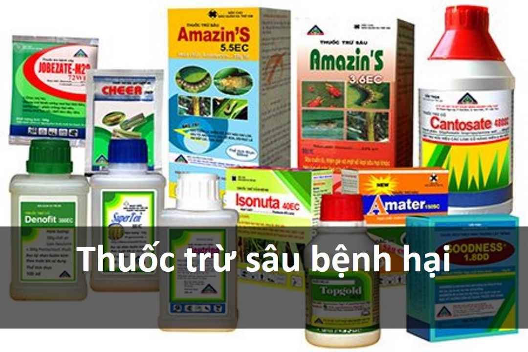 Các loại thuốc trừ sâu bệnh hại phổ biến