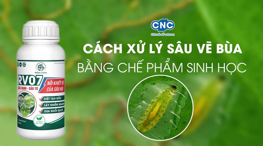 Cách sử dụng các chế phẩm sinh học để phòng trừ sâu bệnh hại