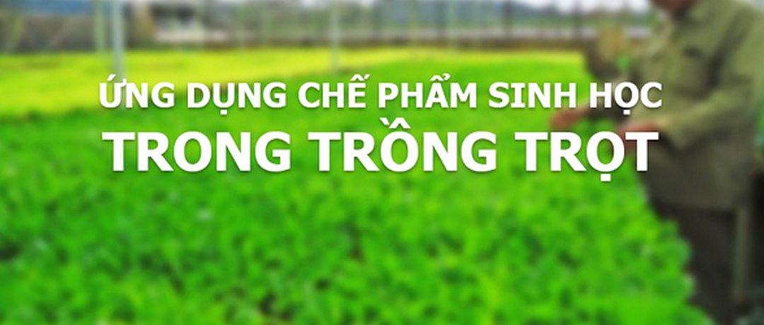 Ứng dụng của chế phẩm sinh học giúp cây không bị sâu bệnh