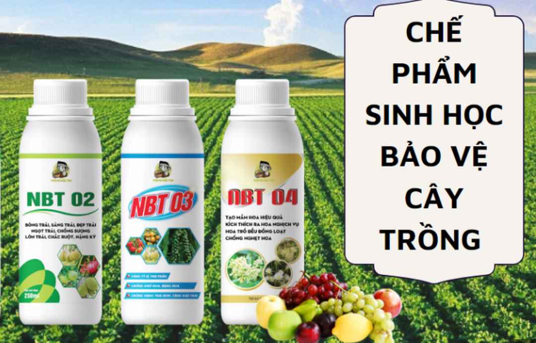 Các biện pháp phòng trừ sâu bệnh hại bằng chế phẩm sinh học