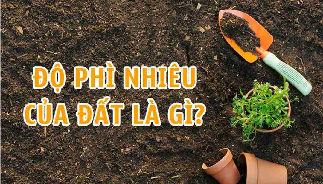 Giới thiệu về độ phì nhiều trong đất