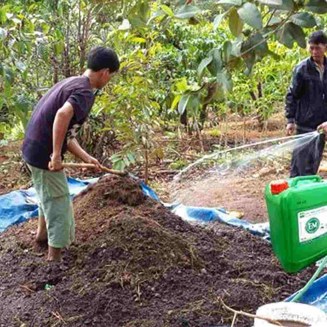 Độ phì nhiêu nhân tạo