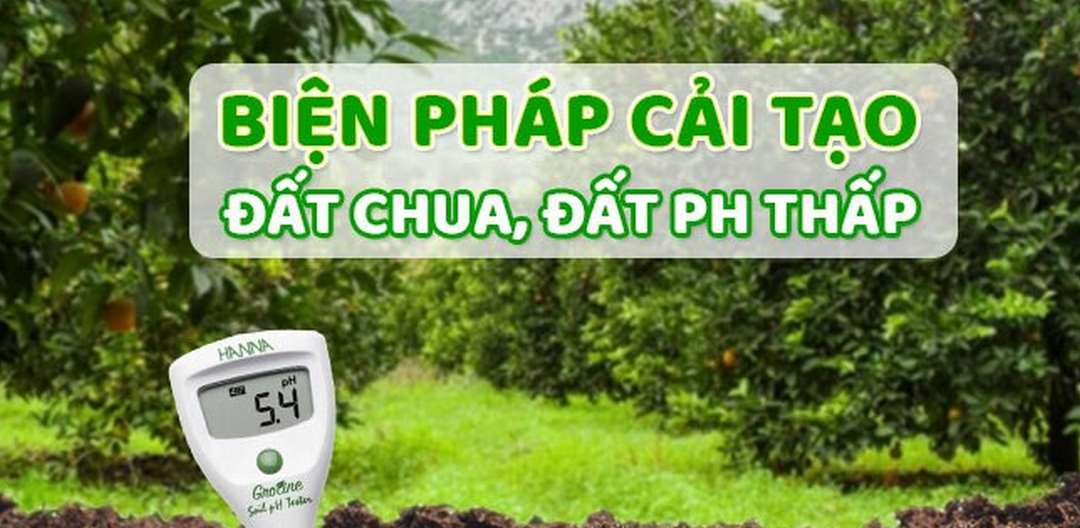 Các phương pháp cải tạo độ phì nhiêu của đất