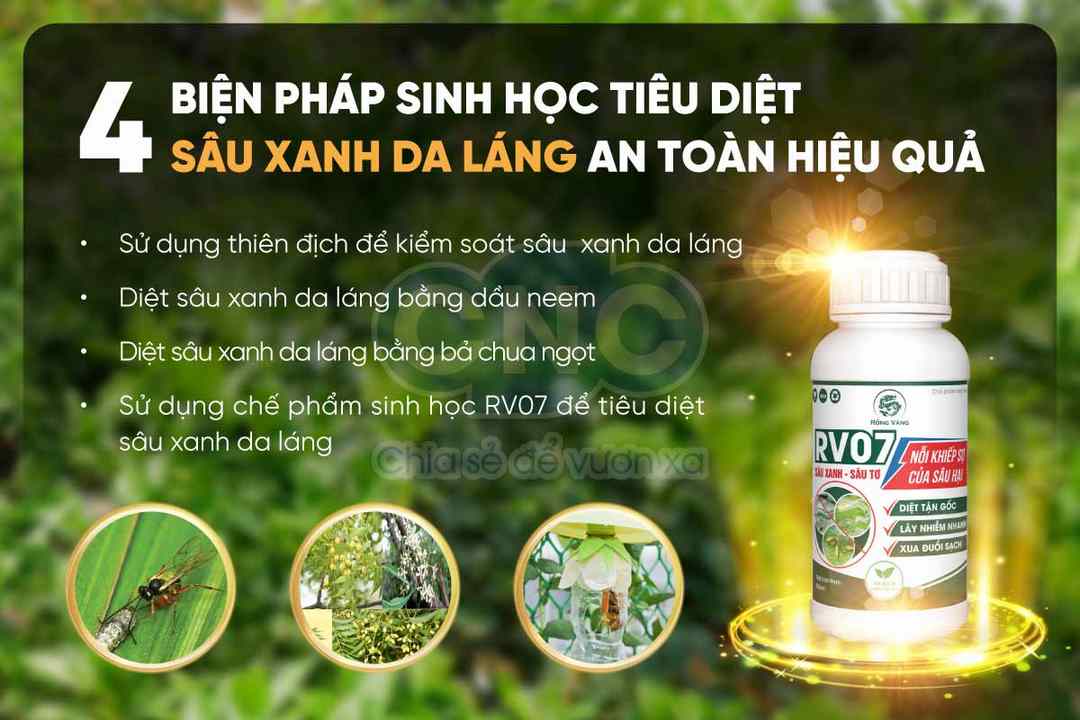 Hướng Dẫn Cụ Thể Về Việc Phòng ngừa Sâu Bệnh Hại Bằng Biện Pháp Sinh Học