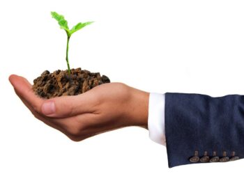 Sản xuất giống cây trồng chính là chọn lọc những hạt giống ưu việt