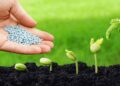 Cần phải bón lót đúng cách để cây trồng phát triển tốt nhất