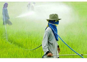 Cần có các biện pháp bảo hộ an toàn