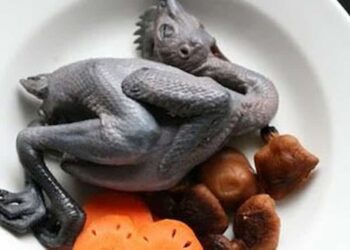 Thịt gà ác có bổ dưỡng không