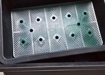 Cách chọn khay nhựa trồng rau phù hợp điều kiện thực tế