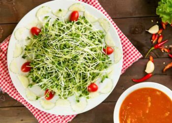 Có nên cho trẻ ăn rau mầm không? Những lưu ý mà mẹ cần tránh!