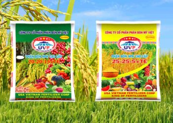 Top 5 loại phân bón lót cho cây lúa năng suất tối đa