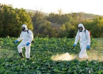 Phương pháp điều trị bệnh hại trên cây trồng