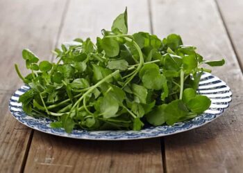 10 lợi ích của cải xoong đối với sức khỏe của chúng ta - Mẹo hay