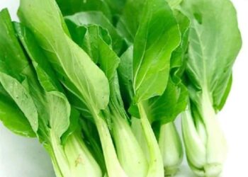 10 lợi ích của rau cải chíp đối với sức khỏe có thể bạn chưa biết