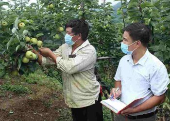 Kiểm tra sau khi diệt trừ nguồn sâu bệnh cho cây trồng