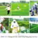 Các Biện Pháp Để Phòng Chống Bệnh Hại Cho Cây Trồng