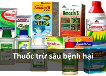 Các loại thuốc trừ sâu bệnh hại phổ biến