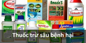 Các loại thuốc trừ sâu bệnh hại phổ biến