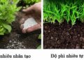 Độ phì nhiêu tự nhiên và nhân tạo cái nào tốt hơn cho cây trồng?
