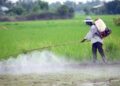 Có nên phòng trừ sâu bệnh hại bằng biện pháp hóa học không?