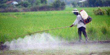 Có nên phòng trừ sâu bệnh hại bằng biện pháp hóa học không?