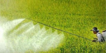 Có nên phòng trừ sâu bệnh hại cho cây trồng bằng biện pháp sinh học không?