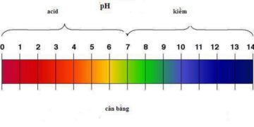 Độ phì nhiêu của đất bao nhiêu là tốt nhất?